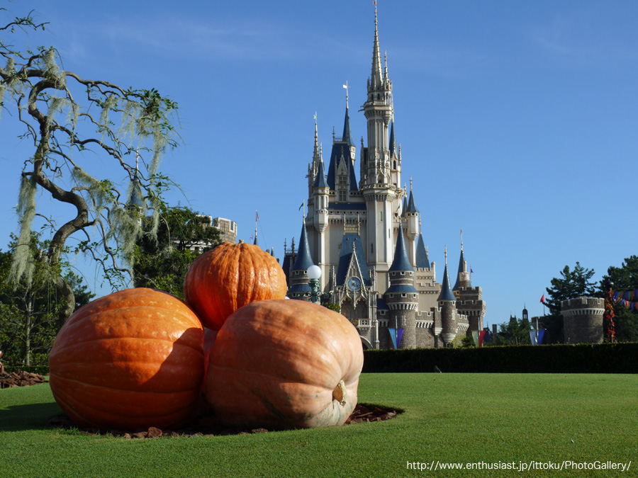 ディズニーランドハロウィン @ TDL