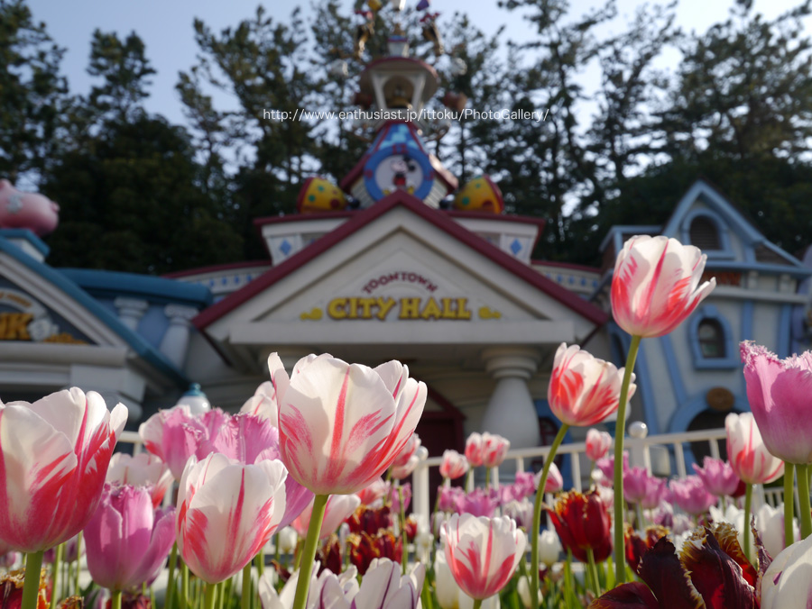 TOONTOWN CITY HALL前 @ TDL