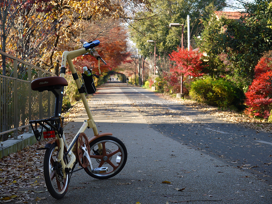 STRiDA @ 多摩湖自転車道