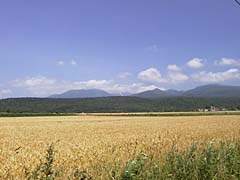 麓郷の風景