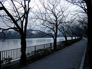 桜ノ宮公園遊歩道