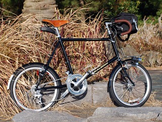 Raleigh RSW Special
