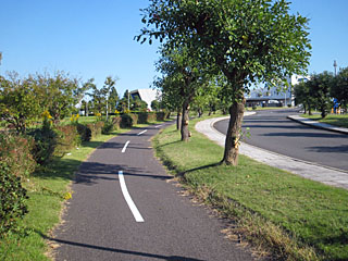 若洲海浜公園のサイクリングロード