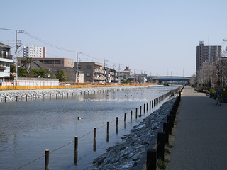 新川沿いの道