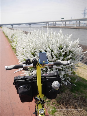 荒川の土手